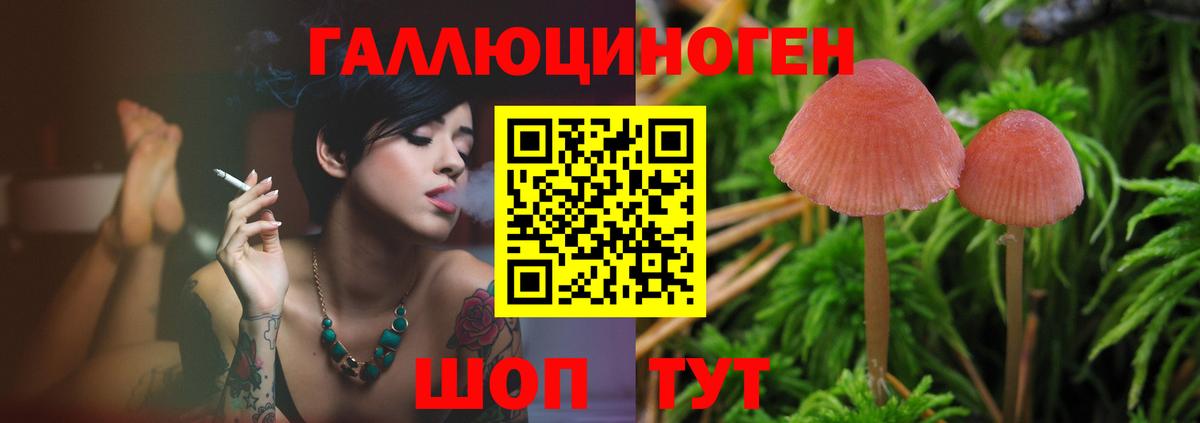 Псилоцибиновые грибы GOLDEN TEACHER Спасск-Дальний